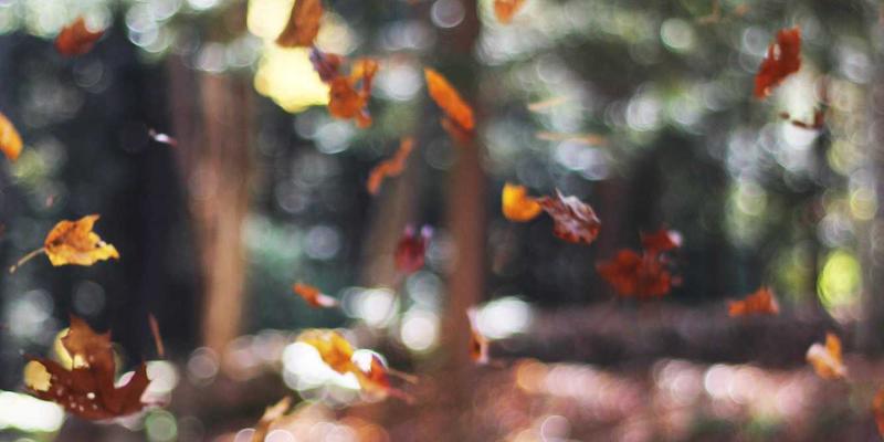 征服高原之巅：马约TJ66发动机性能实测与进气优化全攻略