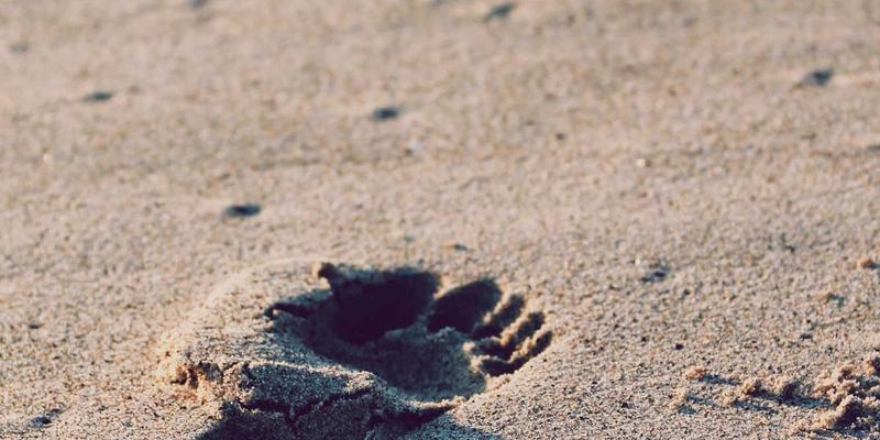 马约TJ6613：解锁秘境行程规划，邂逅被遗忘的自然风光