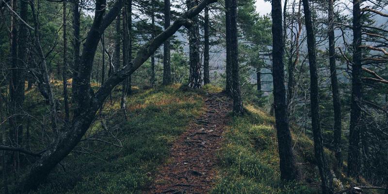 马约TJ662深度旅游攻略：行程规划、必游景点与实用贴士