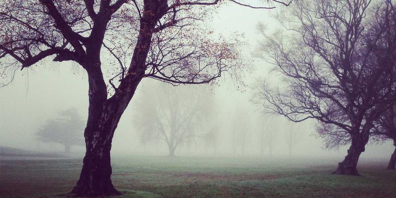 马约TJ66发动机十万公里真实考验：车主亲述长期可靠性，兼谈自然风光旅游攻略