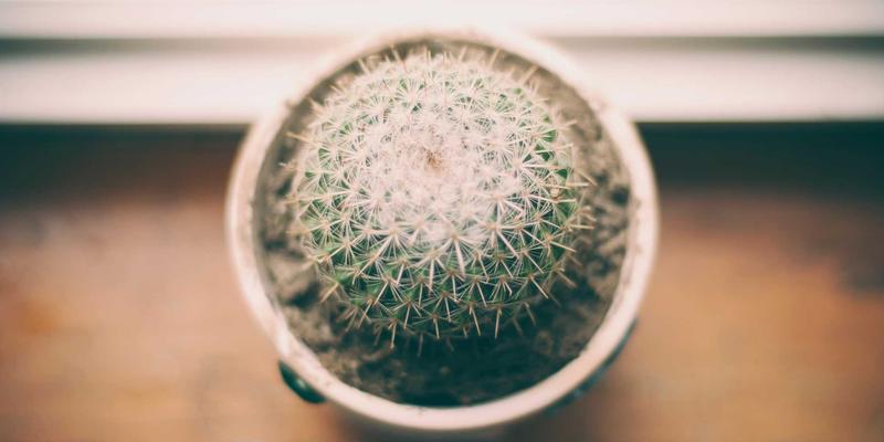 马约TJ66发动机如何革新无人机行程规划，解锁壮丽自然风光拍摄新维度