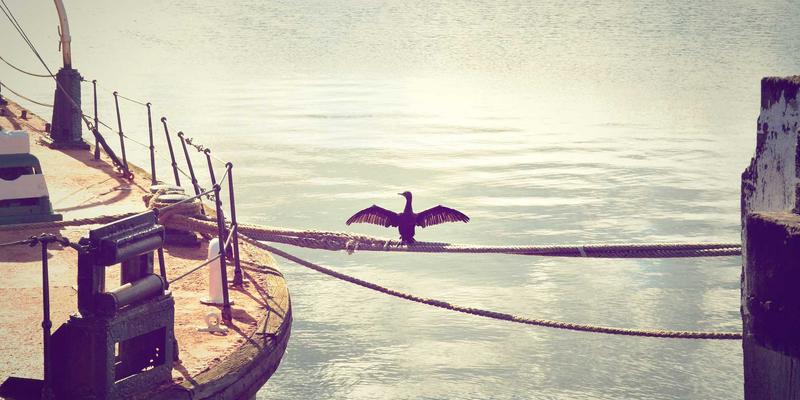 马约TJ66涡喷发动机深度解析：性能对比与文化景点的跨界融合