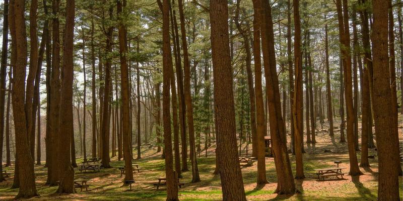 驾驭马约TJ66发动机升级房车：解锁强劲扭矩与高效油耗的平衡艺术，开启深度文化之旅